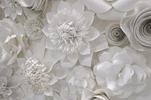 Made: Variety of white flower designs made from cut paper