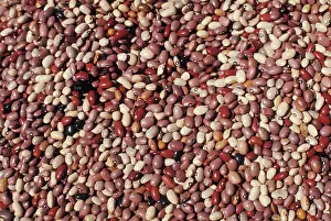 Beans: Various beans