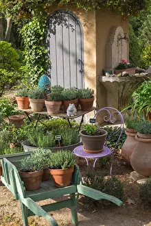 Private: Various herbs in pots, Provence, France