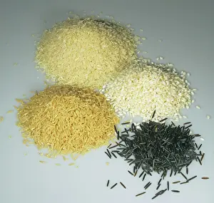 Goods: Various Kinds of Rice