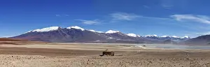 Plateau: Vast desert landscape with snow-capped mountains and clear skies