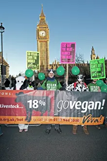 Protest: Vegan campaigners outside parliament on Climate
