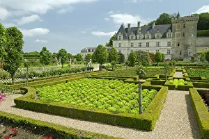 Euphorbiales: The vegetable garden. Chateau de Villandry, France