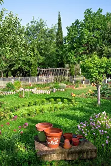 Flowerpot: Vegetable garden in spring, Provence, France