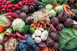 Carrot: Vegetable mix with leeks, carrots, cucumbers