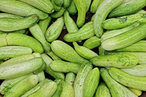 Monochromatic: Vegetables at market, Udaipur, India