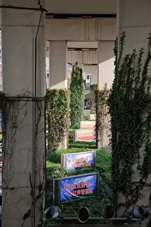 Rights: Vegetation climbing an urban road infrastrucrue