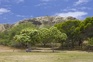 Ausblick: Vegetation am Diamond Head Vulkankrater, Oahu, Pazifik