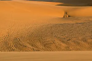 Bikes: Vehicle tracks on the inter dunal gravel plains