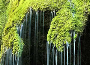 Cascading: Veil fall - water cascading down sinter deposits