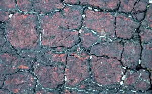 Serpentine: Veins of lizardite - in serpentine