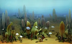 Models: Vendian marine life