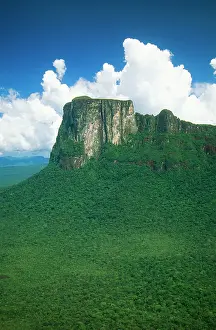 Cerro: Venezuela - Cerro Autana (1200 m alt.)