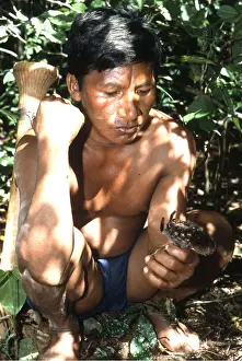 Hunter: VENEZUELA INDIAN - Piaroa hunter catching TARANTULA