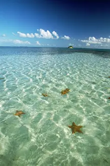 Roques: VENEZUELA - Los Roques