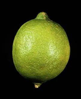 Lemon: Verdelli Lemon