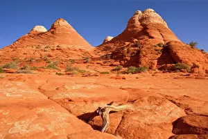 Approximately: Vermillion Cliffs - carved rock made of jurrasic-age