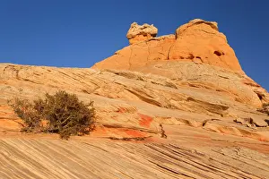 Pocket: Vermillion Cliffs - White Pocket Church - carved