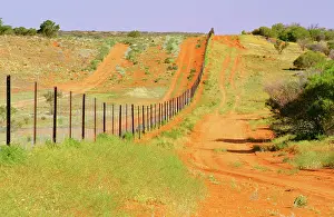 Corner: Vermin-proof fence NSW / Qld border (Camerons Corner)