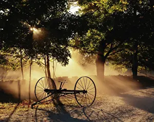 Falling: Vermont, Northeast Kingdom, Sunlight falling