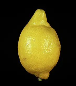 Verna: Whole Verna Lemon