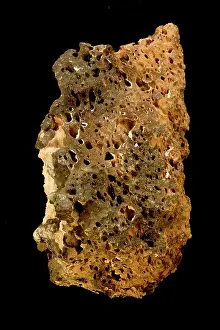 Grained: Vesicular Basalt