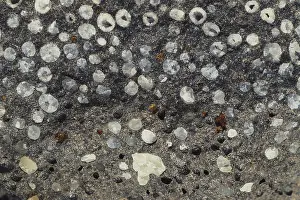 Basaltic: Vesicular Basalt