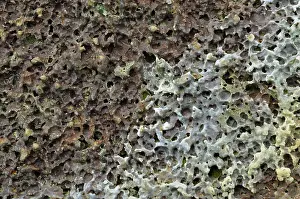 Diamond: Vesicular Basalt