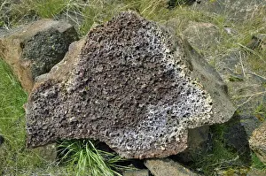 Diamond: Vesicular Basalt