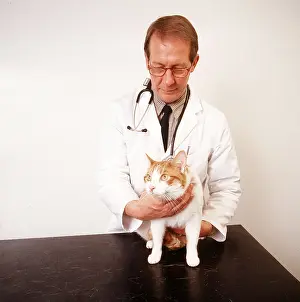 Examining: VET EXAMINING CAT