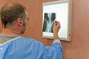 Examining: Vet - examining x-ray of cat