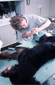 Operating: VET - operating