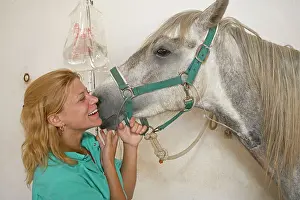 Unwell: Vet - tending horse with drip in neck