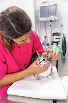 Table: Veterinary clinic, young veterinarian with a cat