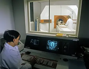 Casualties: Veterinary School - animal being scanned