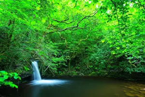 Riverain: Viana Falls, Viana river valley, Vega de Pas, Valles