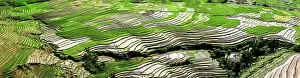 Watering: Vietnam