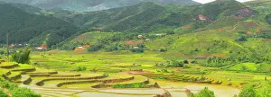 Watering: Vietnam. Rice paddies in the highlands of Sapa