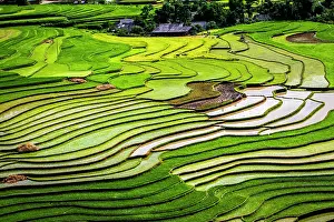 Watering: Vietnam. Rice paddies in the highlands of Sapa