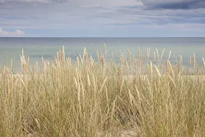 Ammophila: View at the Baltic sea near Havaeng - Skane, Sweden
