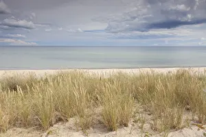 Ammophila: View at the Baltic sea near Havaeng - Skane, Sweden