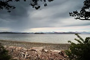 Quadra: View from a beach with driftwood to the mainland of British