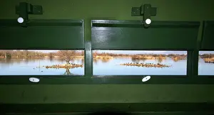 Hides: View from bird hide over water
