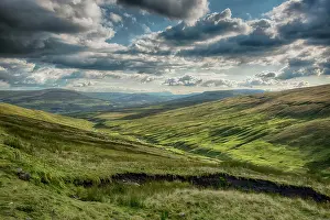 Midlands: View of bog habitat, at Simonstone, Hawes, Wensleydale
