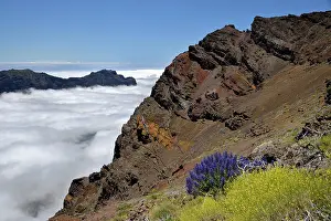 Caldera: View into the Caldera de Taburiente, Roque de los