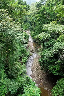 Habtiat: View on canopy and creek of rainforest from suspension