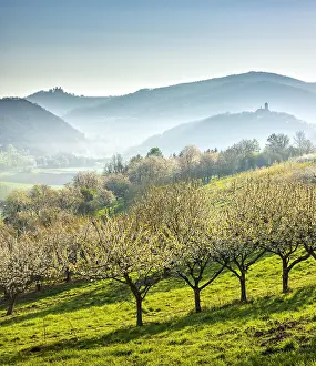 210519: View of two castles, view over cherry plantation