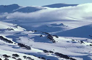 Kosciuszko: View from CharlotteIs Pass. Kosciuszko National