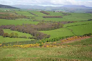 Crag: View from Corby Crag of Cheviot Hills