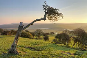 Sussex: View of the Cuckmere Valley at dawn. Near Seaford